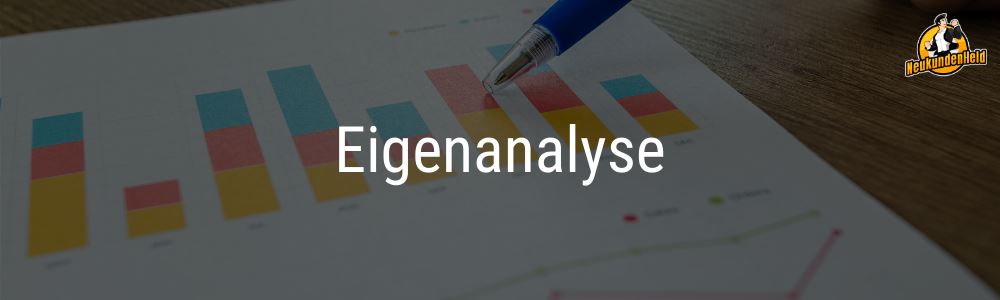 Eigenanalyse-Onlinemarketing-und-Neukundengewinnung-www.Neukundenheld.de_